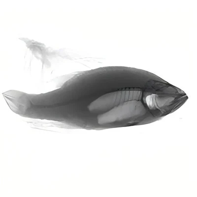 日联 UNX4015-N 中小包装/袋装食品 X-Ray 异物检测设备 · 2